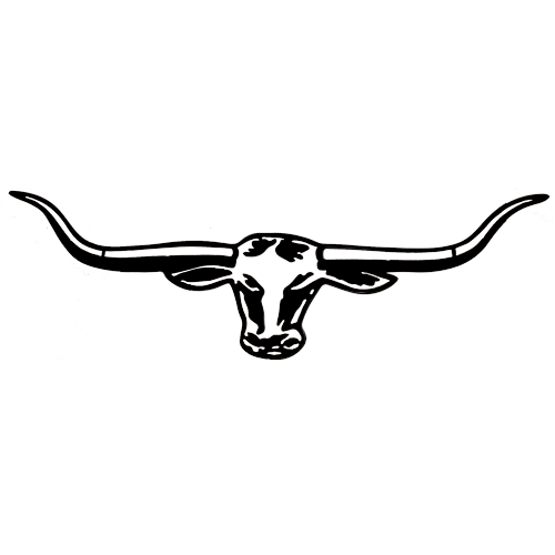 Longhorn Wall Art - Large