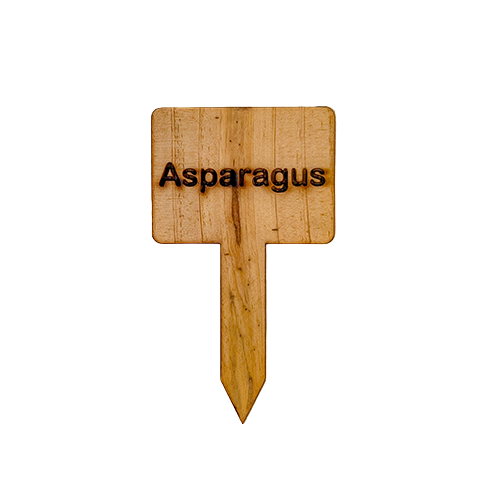 Wooden Plant Marker Asparagus