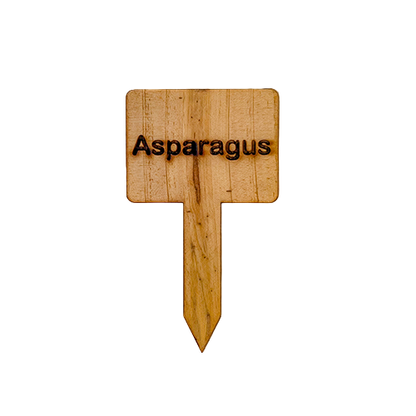 Wooden Plant Marker Asparagus