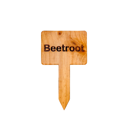 Wooden Plant Marker Beetroot