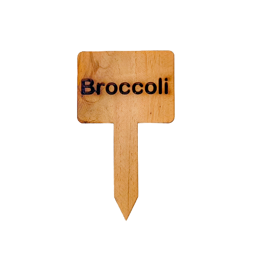 Wooden Plant Marker Broccoli