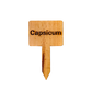 Wooden Plant Marker Capsicum