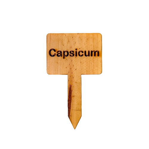 Wooden Plant Marker Capsicum