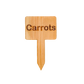 Wooden Plant Marker Carrots