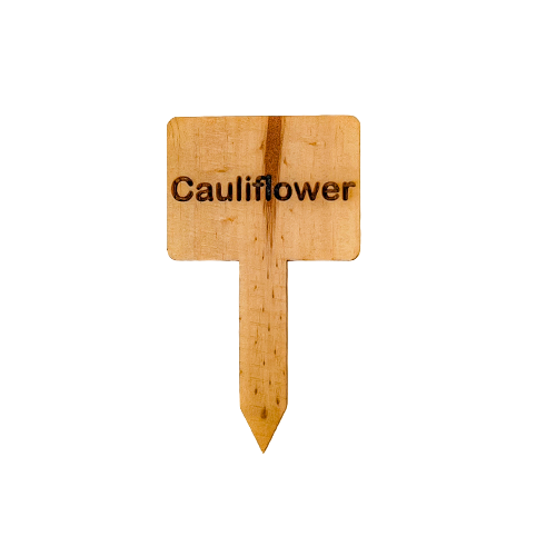 Wooden Plant Marker Cauliflower