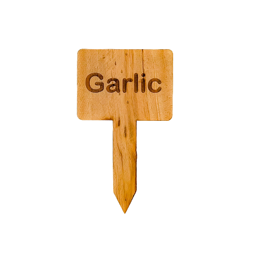 Wooden Plant Marker Garlic