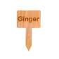 Wooden Plant Marker Ginger