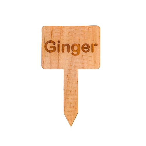 Wooden Plant Marker Ginger