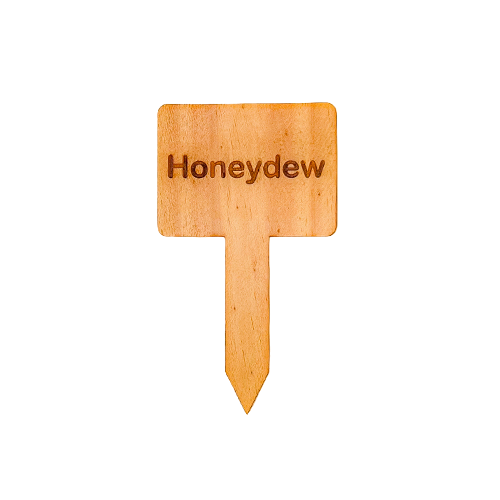 Wooden Plant Marker Honeydew