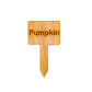 Wooden Plant Marker Pumpkin