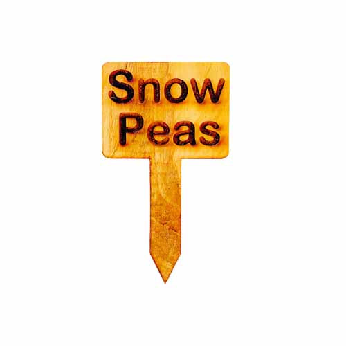 Wooden Plant Marker Snow Peas