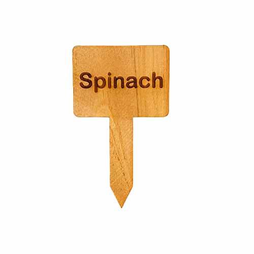 Wooden Plant Marker Spinach