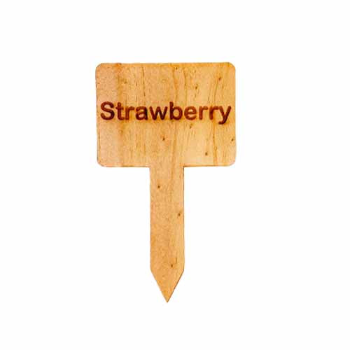 Wooden Plant Marker Strawberry