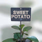 700527 - Garden Bed Sign - Rusty - Vegetable & Herb Signs - Sweet Potato