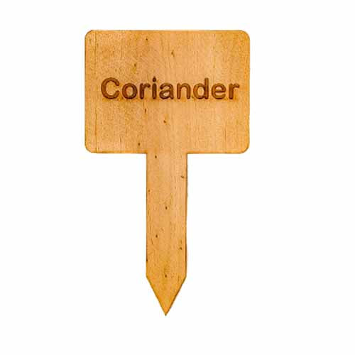 Wooden Plant Marker Coriander