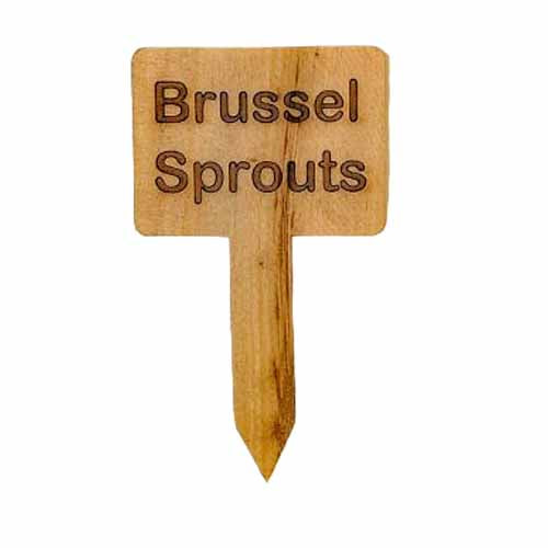 Wooden Plant Marker Brussel Sprouts