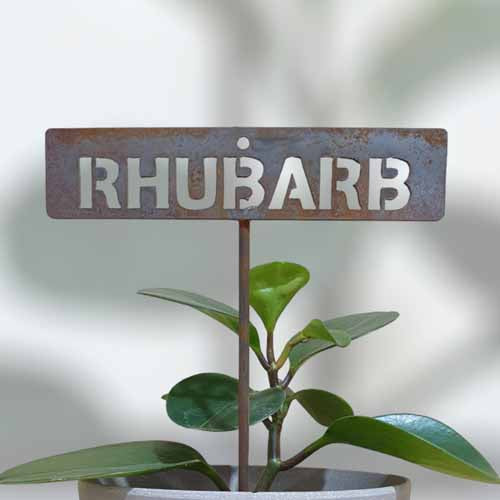 700574 - Garden Bed Sign - Rusty - Rhubarb