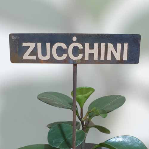 700580 - Garden Bed Sign - Rusty - Zucchini