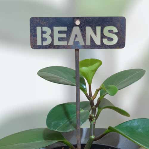 700581 - Garden Bed Sign - Rusty - Beans