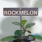 700586 - Garden Bed Sign - Rusty - Rockmelon