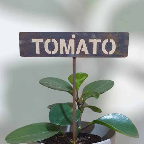 700592 - Garden Bed Sign - Rusty - Tomato