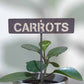 700596 - Garden Bed Sign - Rusty - Carrots