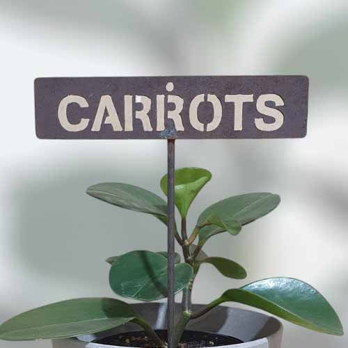 700596 - Garden Bed Sign - Rusty - Carrots