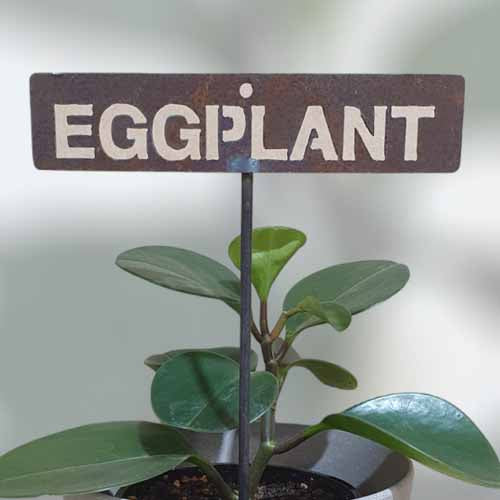 700600 - Garden Bed Sign - Rusty - Eggplant