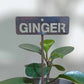 700601 - Garden Bed Sign - Rusty - Ginger