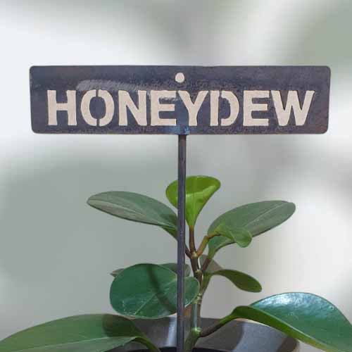 700602 - Garden Bed Sign - Rusty - Honerydew