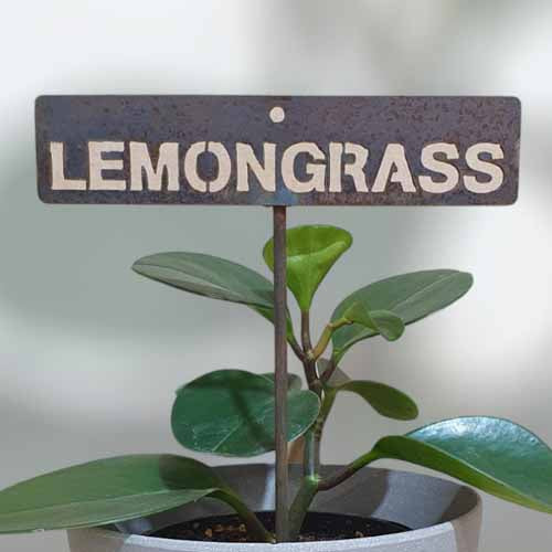 700603 - Garden Bed Sign - Rusty - Lemongrass