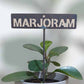 700605 - Garden Bed Sign - Marjoram