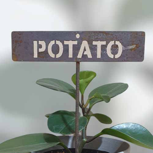 700611 - Garden Bed Sign - Rusty - Vegetable & Herb Signs - Potato