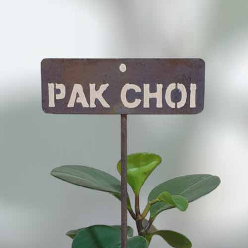 700613 - Garden Bed Sign - Rusty - Vegetable & Herb Signs - Pak Choi