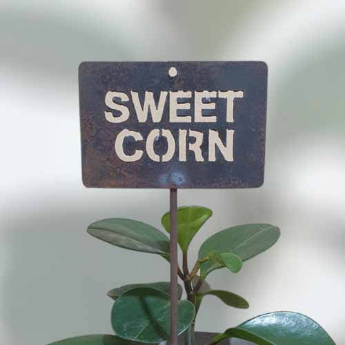 700618 - Garden Bed Sign - Rusty - Vegetable & Herb Signs - Sweet Corn