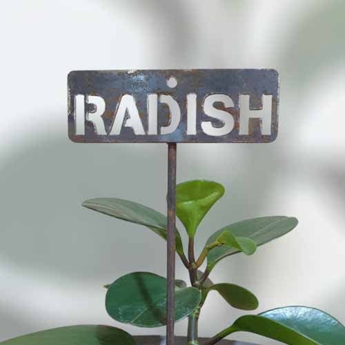 700619 - Garden Bed Sign - Rusty - Vegetable & Herb Signs - Radish