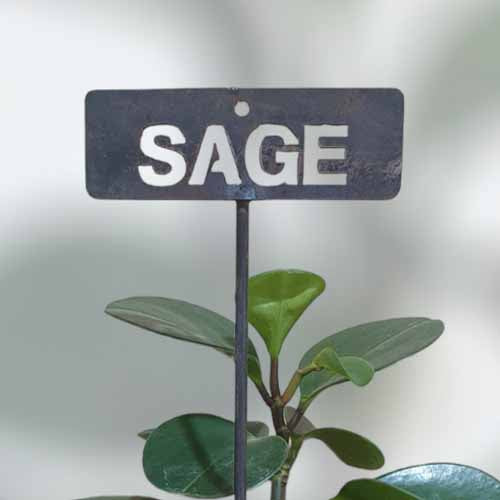 700620 - Garden Bed Sign - Rusty - Vegetable & Herb Signs - Sage