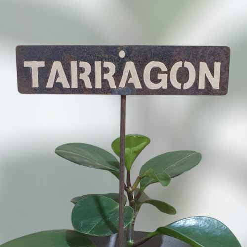 700640 - Garden Bed Sign - Rusty - Vegetable & Herb Signs - Tarragon