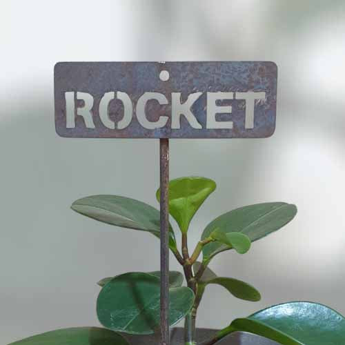 700646 - Garden Bed Sign - Rusty - Vegetable & Herb Signs - Rocket