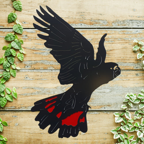 Red Tailed Black Cockatoo Metal Wall Art 