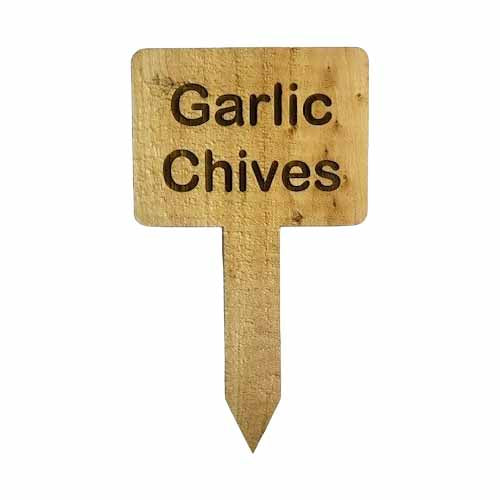 Wooden Plant Marker Garlic Chives