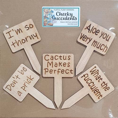 Playful Plant Markers - Cheeky Succulents - Set 5