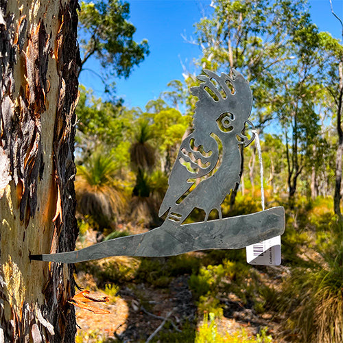 Cockatoo Baby on Tree Stake