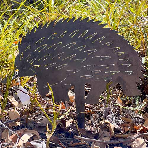 Echidna Metal Garden Art in Bush Setting Close Up