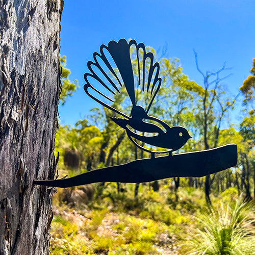 Fantail Baby on Tree Stake